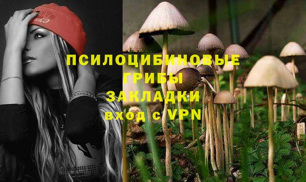 прущие крисы Белокуриха