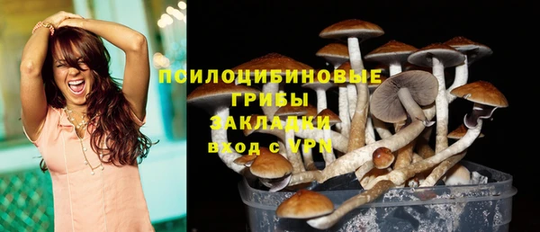 дживик Инта