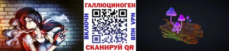 магазин продажи наркотиков  Дагестанские Огни  Галлюциногенные грибы Psilocybe 